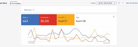 Google Ads dashboard for a curtain retailer showing 663 clicks